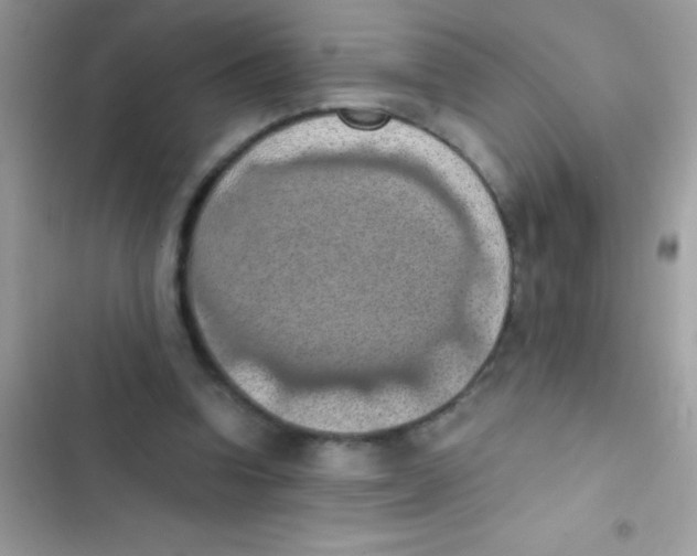 X0000103140346200809192010