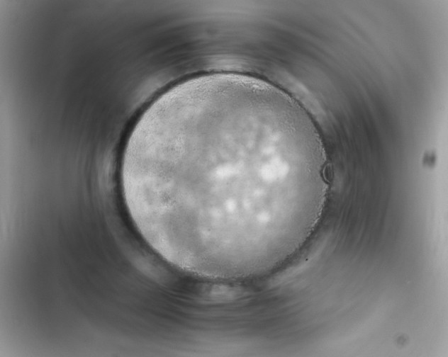 X0000103140347200809192010