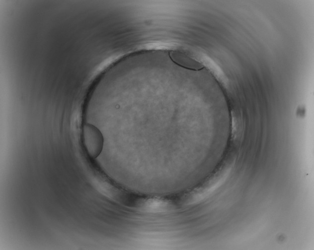 X0000103140348200809192010