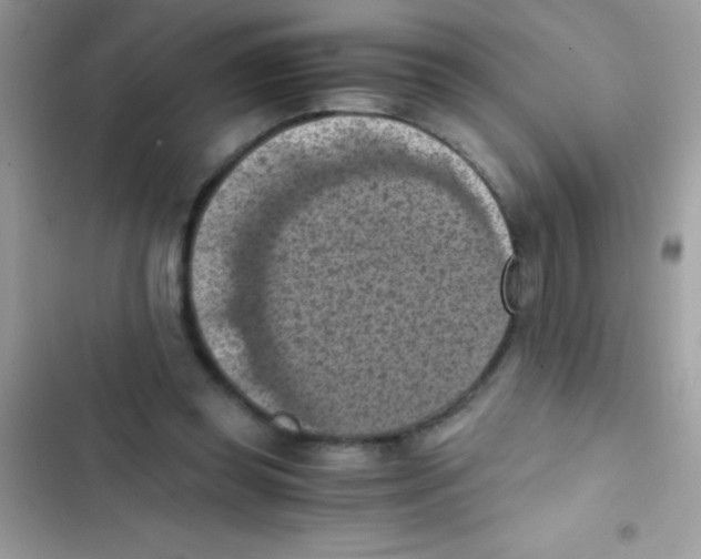 X0000103140349200809192010