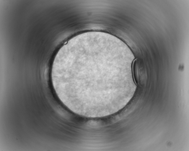 X0000103140350200809192010