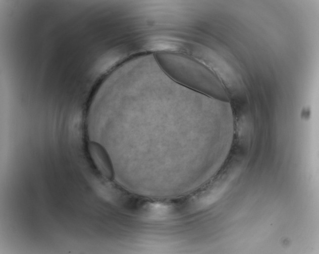 X0000103140352200809192010