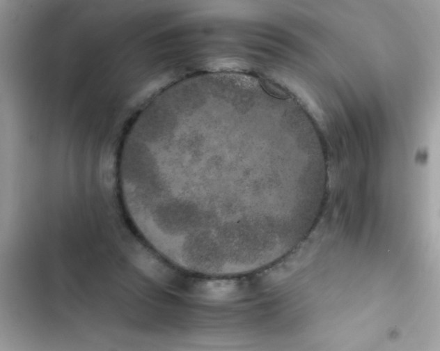 X0000103140353200809192010