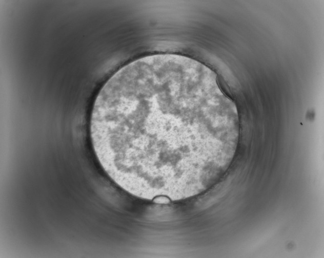 X0000103140354200809192010