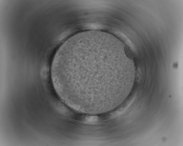 X0000103140355200809192010