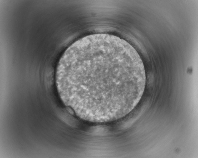 X0000103140356200809192010