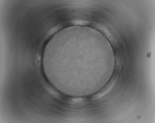 X0000103140357200809192010