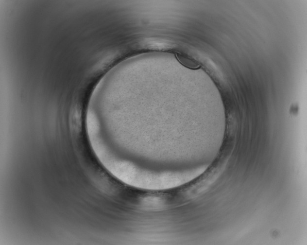 X0000103140358200809192010