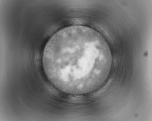 X0000103140359200809192010