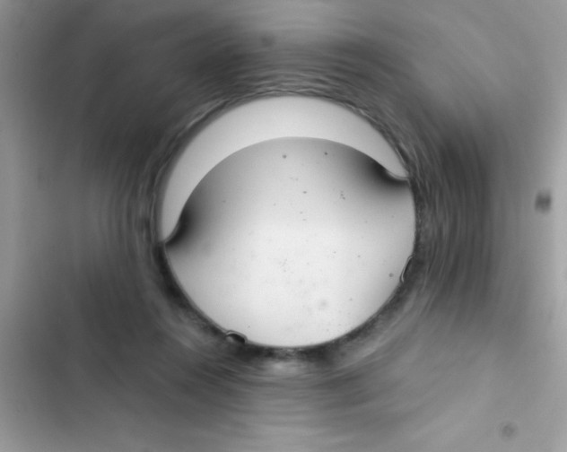 X0000103140360200809192011