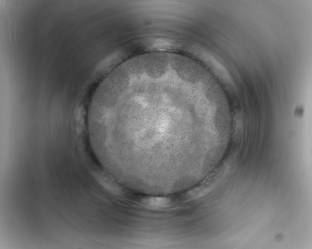 X0000103140361200809192011