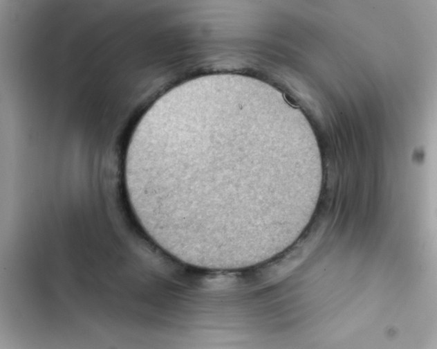 X0000103140362200809192011