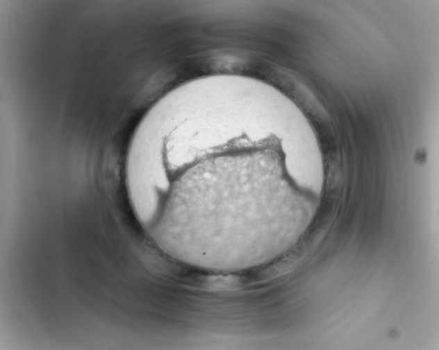 X0000103140363200809192011