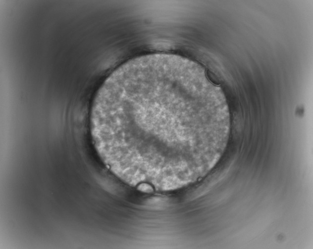 X0000103140364200809192011