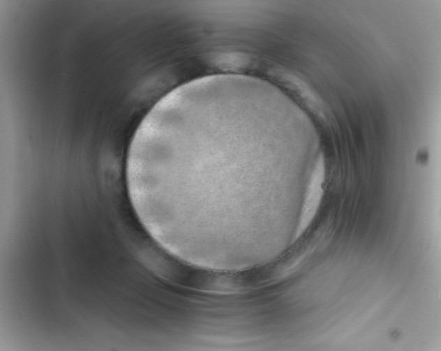 X0000103140365200809192011
