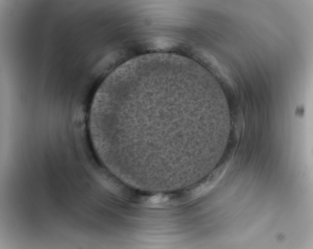 X0000103140366200809192011