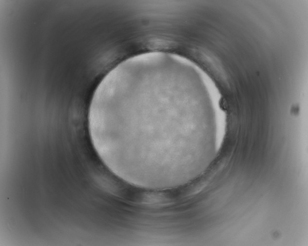 X0000103140367200809192011