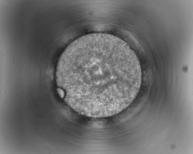 X0000103140368200809192011