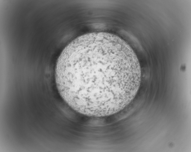 X0000103140369200809192011