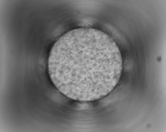 X0000103140370200809192011