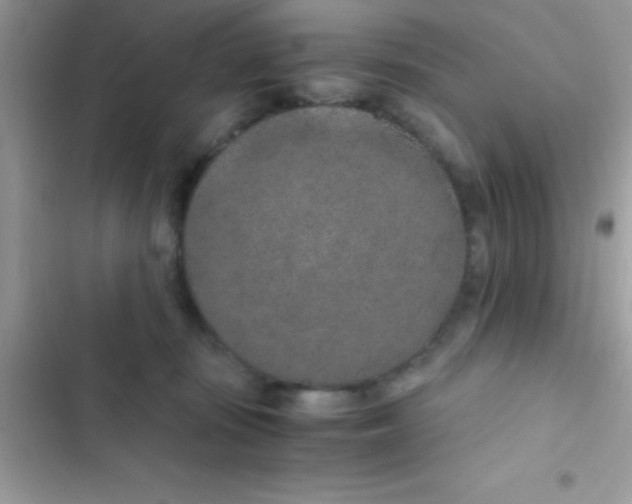 X0000103140371200809192011