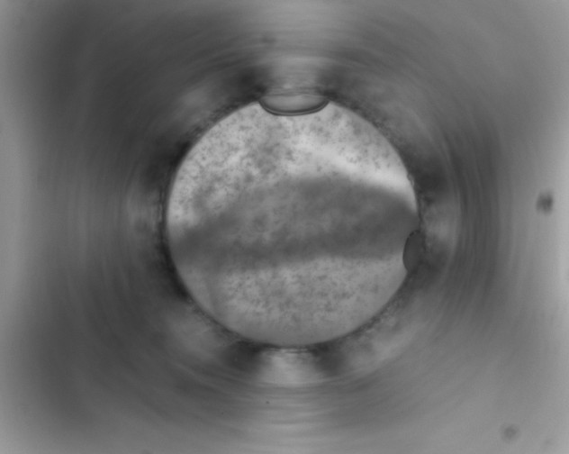 X0000103140372200809192011