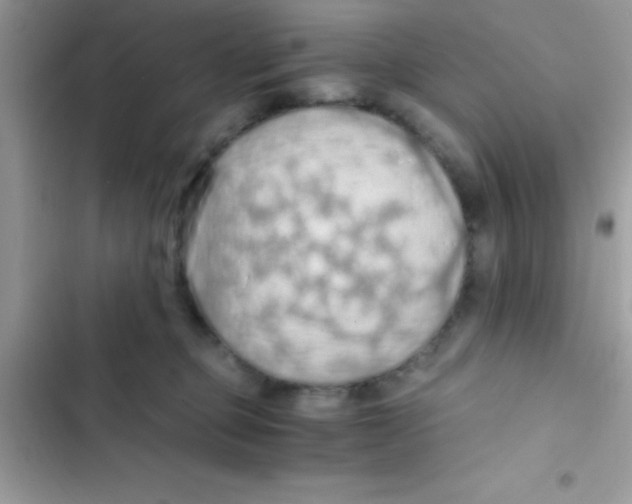 X0000103140373200809192011