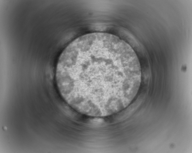 X0000103140374200809192011