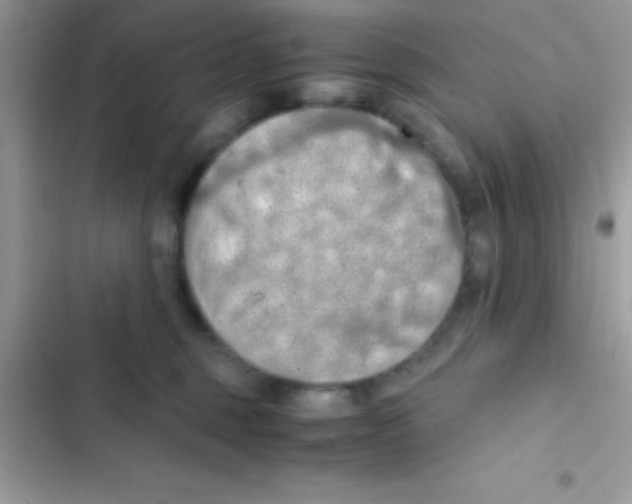 X0000103140375200809192011