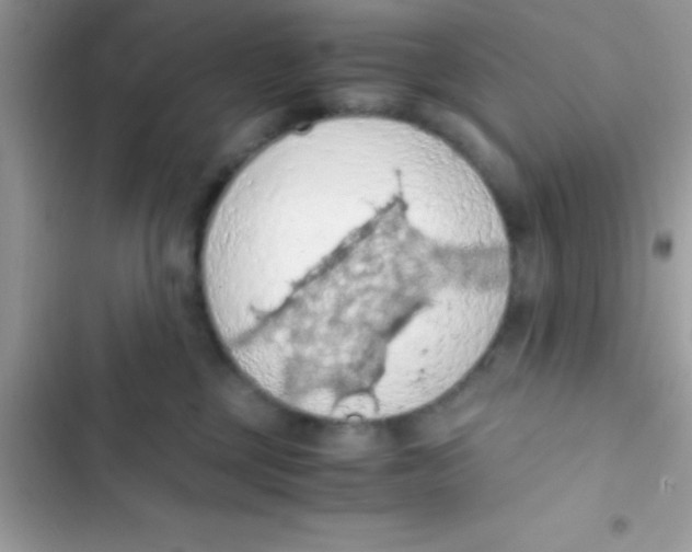 X0000103140377200809192011