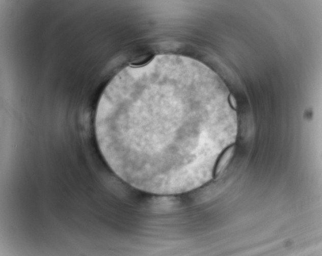 X0000103140378200809192011