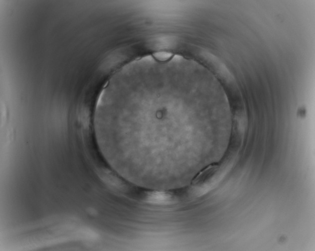 X0000103140380200809192011