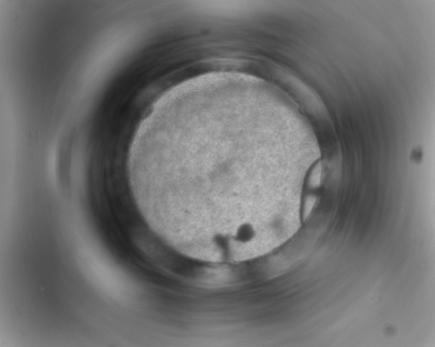 X0000103140381200809192011