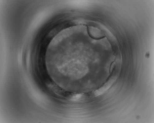 X0000103140382200809192011