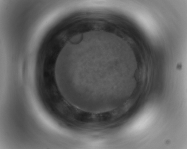 X0000103140383200809192011