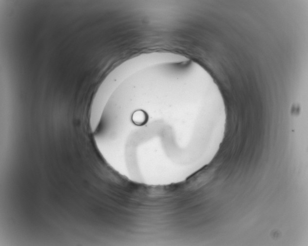 X0000103140384200809192011