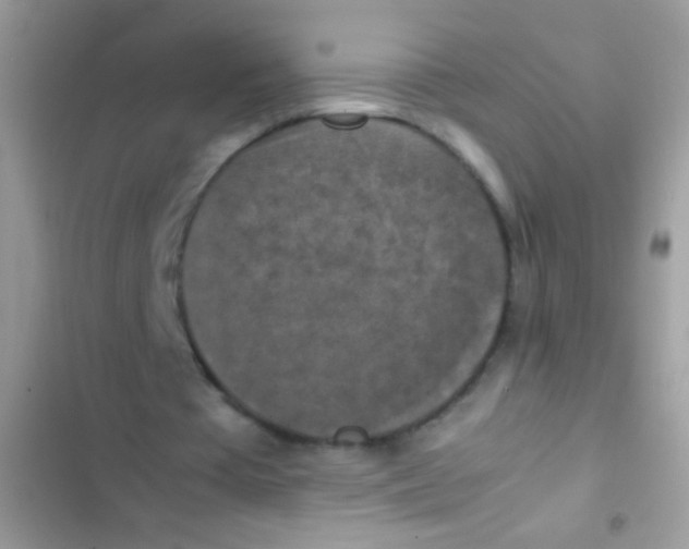 X0000103140385200809192010