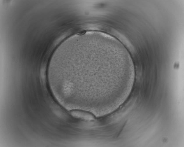 X0000103140386200809192010