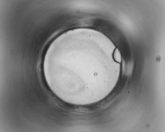 X0000103140387200809192010