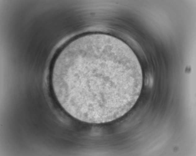 X0000103140388200809192010