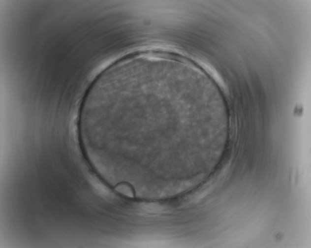 X0000103140389200809192010