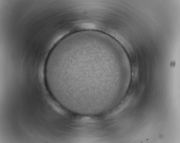 X0000103140390200809192010