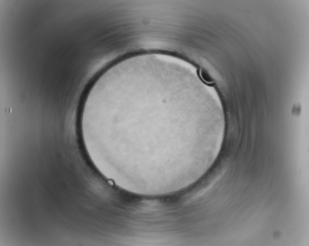 X0000103140391200809192010