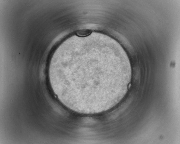 X0000103140392200809192010