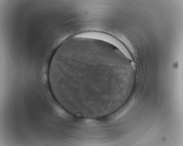 X0000103140393200809192010