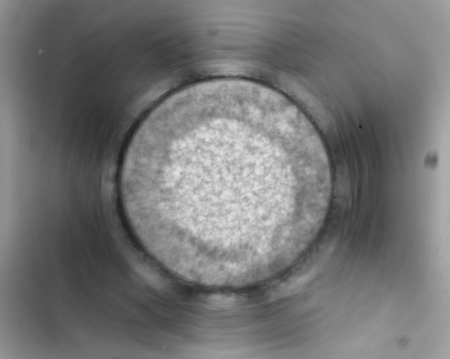 X0000103140394200809192010