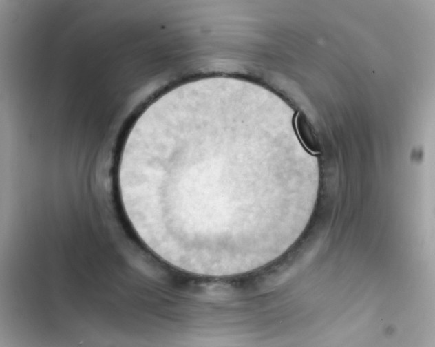 X0000103140395200809192010