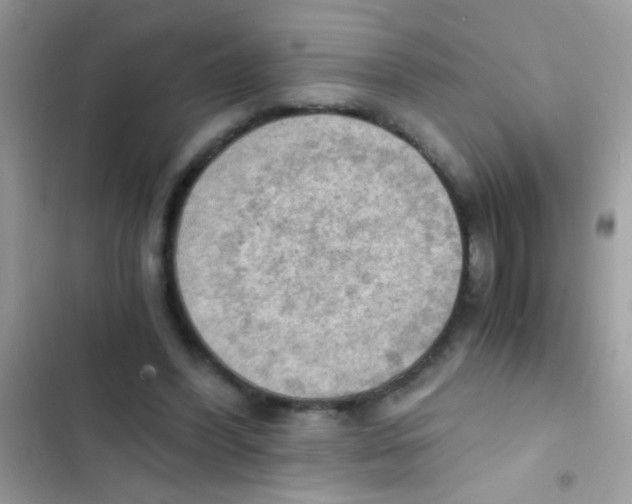 X0000103140396200809192010