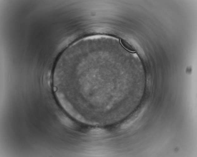 X0000103140397200809192010