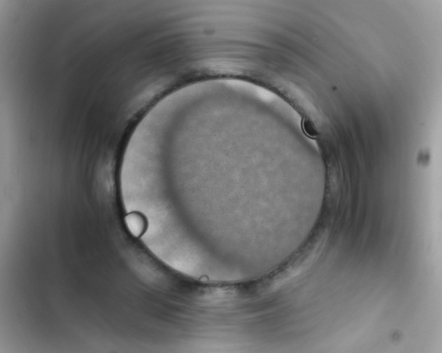 X0000103140398200809192010